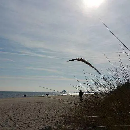 Barbara Strandnah Erste Reihe *